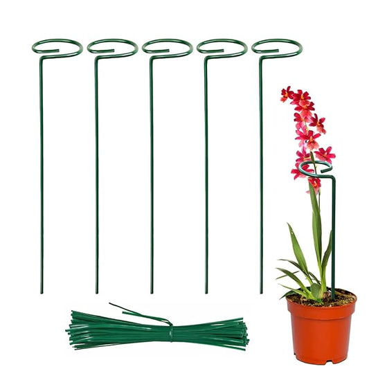 Premium Plant Support Stakes, Sturdy Metal Construction for Strong and Healthy Plant Growth (Light Green - 5 pcs)